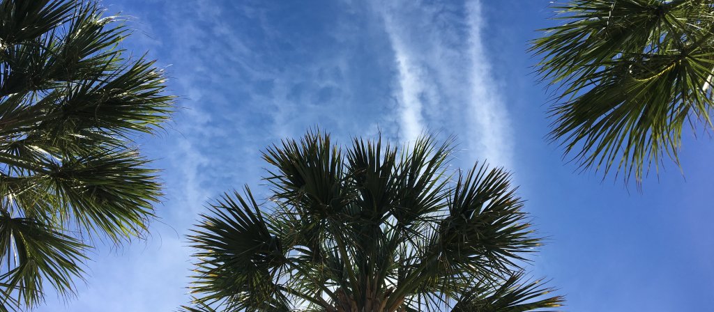 The Stutter – a Piece of my Testimony alovedchristian.wordpress.com/2018/11/26/the…