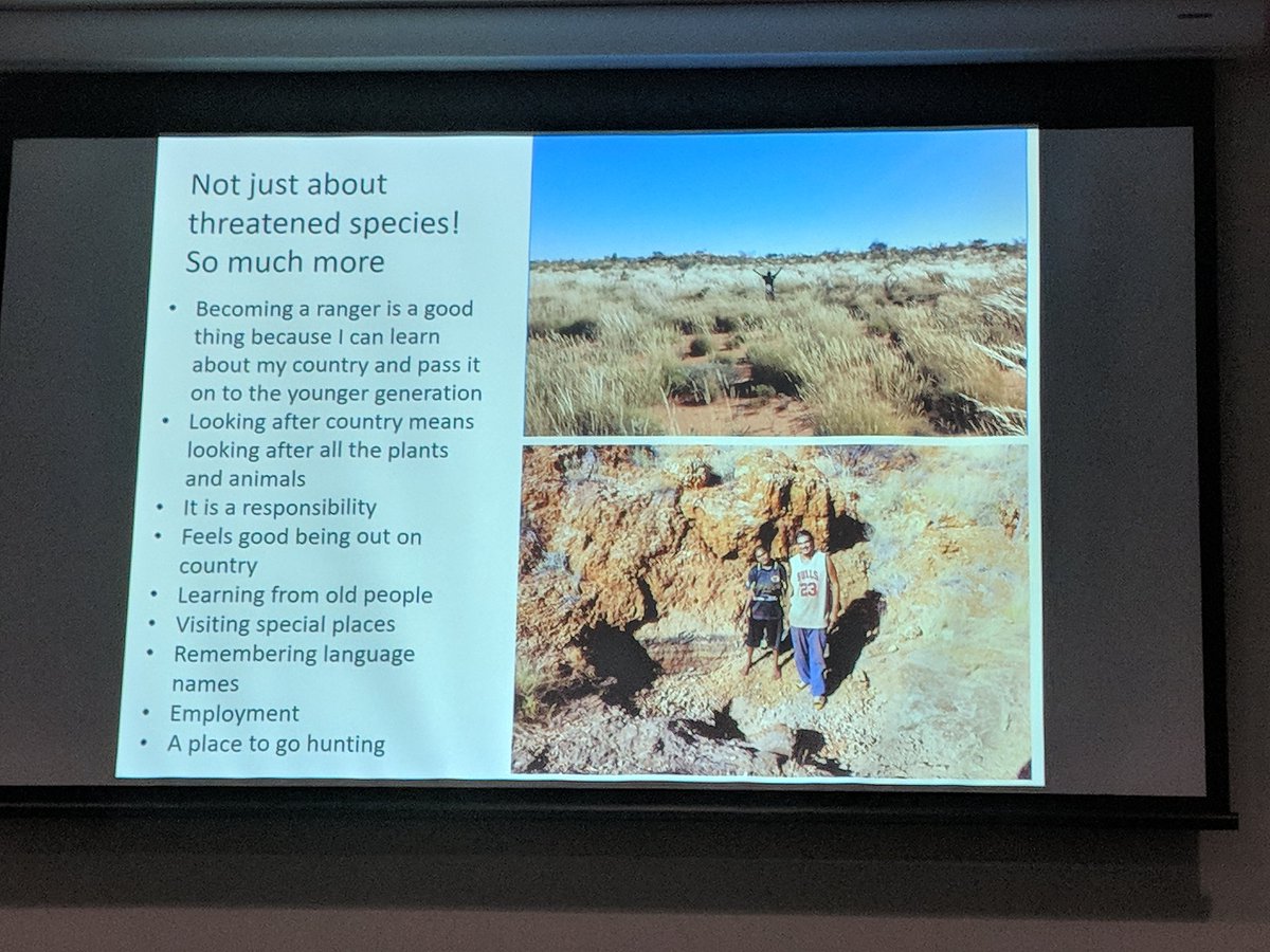 EcolSocAus's tweet image. Martu rangers are helping us learn about desert ecosystem - particularly threatened species like bilby and the elusive night parrot: Dr Ness Westcott with Briohny Jackman and Jessica Chapman #ESAus18 #indigknowledge