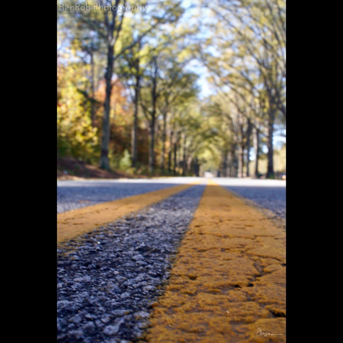 BRobiPhoto's tweet photo. All lined up for a great Fall view #fall #sony #sonyalpha #benrobi #lightstalking #photography #nikkor #nikon #vintagelens #vintagelenses #nikkorlens #nikkor35mm #fotodiox #fotodioxpro #walltones #lowanglechallenge #greenvillescphotographer @Sony @LightStalking @UpstateExposure https://t.co/R7OdTzCVp4