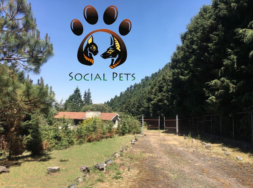 Vacaciones!!! Buscas donde dejar a tu mejor amigo???? Pensión campestre @Pet_Friendly_Mx @soysaverio @AjuscoTlalpan @La_Portales @LaRomaDF @En_Narvarte @La_Portales @gap_14 @AlamosCDMX @En_laDelValle @vetmatmvz @HelenaPi2 @Lyli_Sirope @CLopez750315