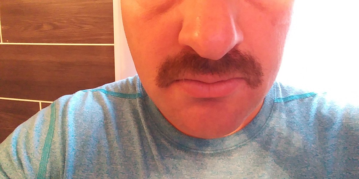 HMovember's tweet photo. @MrRyeEye @wick29chad Any guessing who’s supporting this beauty stashe? @HMovember #RonSwanson #Mr.Snuffleupagus https://t.co/GwhvE1MMzY