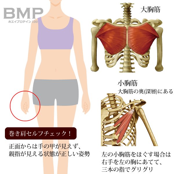 Bmpプロテイン No Twitter 大胸筋をストレッチすると痛い どうやら長時間のpc作業で 巻き肩 になっているらしい 巻き肩は鏡で チェックできる 気を付け の姿勢で手の甲が見えたら巻き肩 通常は親指が見えるそうです 先ずは硬くなっている小胸筋をほぐす Bmpプロテイン No Twitter 大胸筋をストレッチすると痛い どうやら長時間のpc作業で 巻き肩 になっているらしい 巻き肩は鏡で チェックできる 気を付け の姿勢で手の甲が見えたら巻き肩 通常は親指が見えるそうです 先ずは硬くなっている小胸筋をほぐす