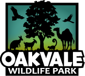 NewcastleTIG's tweet photo. Congratulations to all involved in last week's @NSWTourismAward.

@SDAQuadBikes - Gold, silver and receiving Hall of Fame Status in the Qantas Award for Excellence.

@MoonshadowTQC - Gold.

@OakvaleFarm - Bronze. https://t.co/If9jg65iYQ