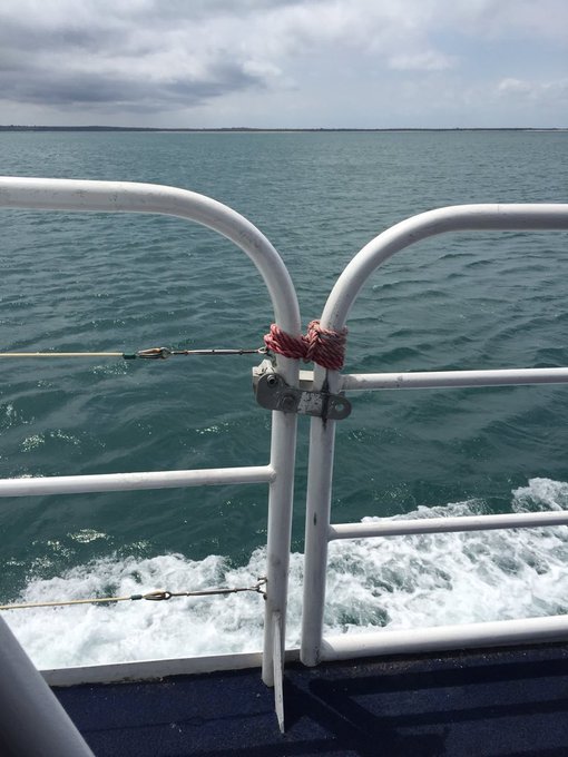 Is it weird that I&rsquo;m excited about seeing shear lashing in the wild after teaching using it on bamboo<a href="/tag/spoiled"class="tags"><span>#spoiled</span></a>