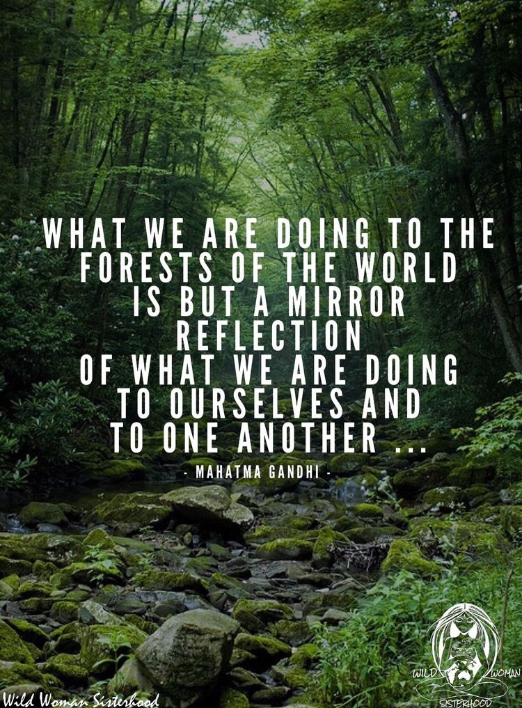 jules_mcqueen's tweet photo. Our environment is essentially representing our lives. Why not better ourselves by bettering the environment? Taking on the simple task of getting a recycling can in your home is a greater step than you can even imagine. Lead by example and make the choice to do the right thing. https://t.co/o5lgLFX0pO