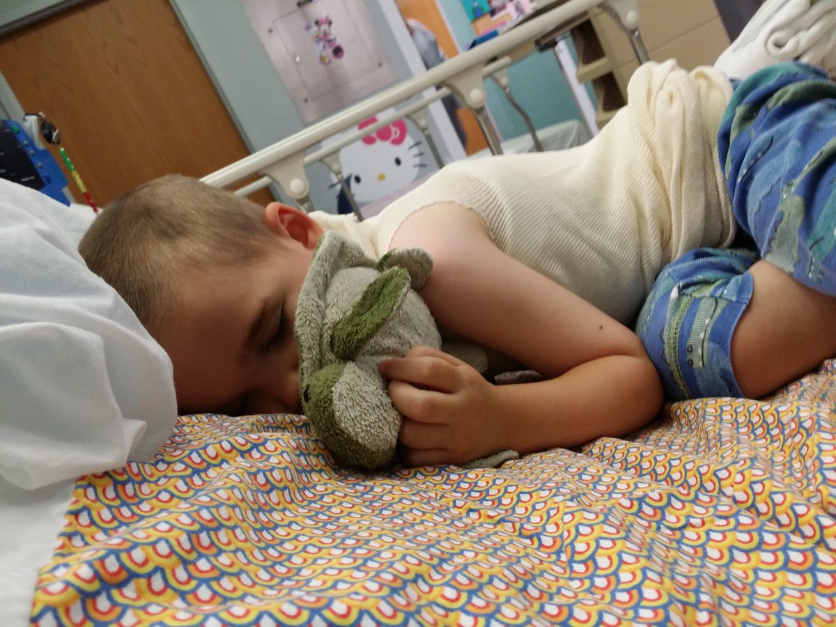 NatureGirlTech's tweet image. Jack is having surgery #22 on Fri. He wears permanent torso cast for rare spine disorder. As he gets older post-op is harder. Jack ADORES #turtles. Will anyone tweet fave turtle pics (you've taken) or facts/stories to him for after surgery? #Turtles4Jack #herpetology #herp