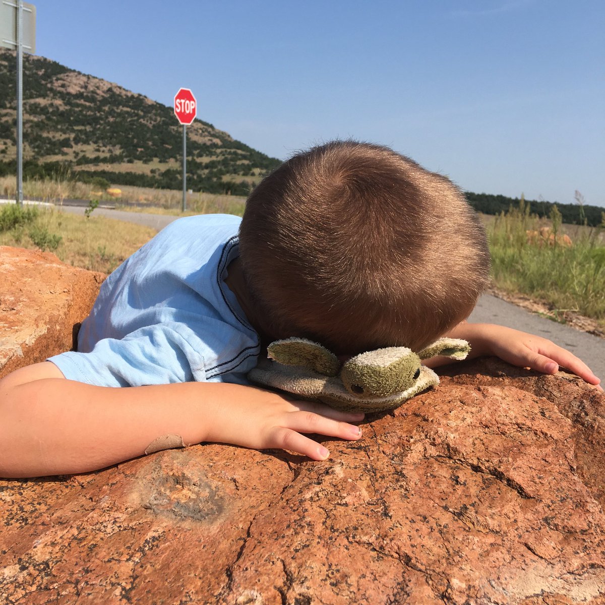 NatureGirlTech's tweet image. Jack is having surgery #22 on Fri. He wears permanent torso cast for rare spine disorder. As he gets older post-op is harder. Jack ADORES #turtles. Will anyone tweet fave turtle pics (you've taken) or facts/stories to him for after surgery? #Turtles4Jack #herpetology #herp