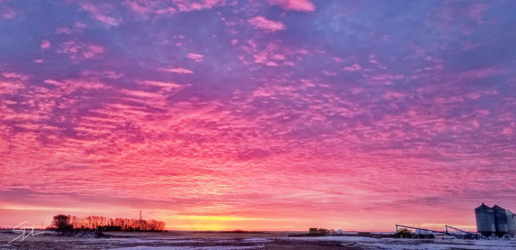 SarahLeguee's tweet photo. Saskatchewan skies showing off again...sunset and sunrise, both insanely awesome 🤩😍 Fillmore, SK @CTVwdean #landoflivingskies #farmlife #agmorethanever #meanwhileinsaskatchewan https://t.co/fkUuv4vZGC