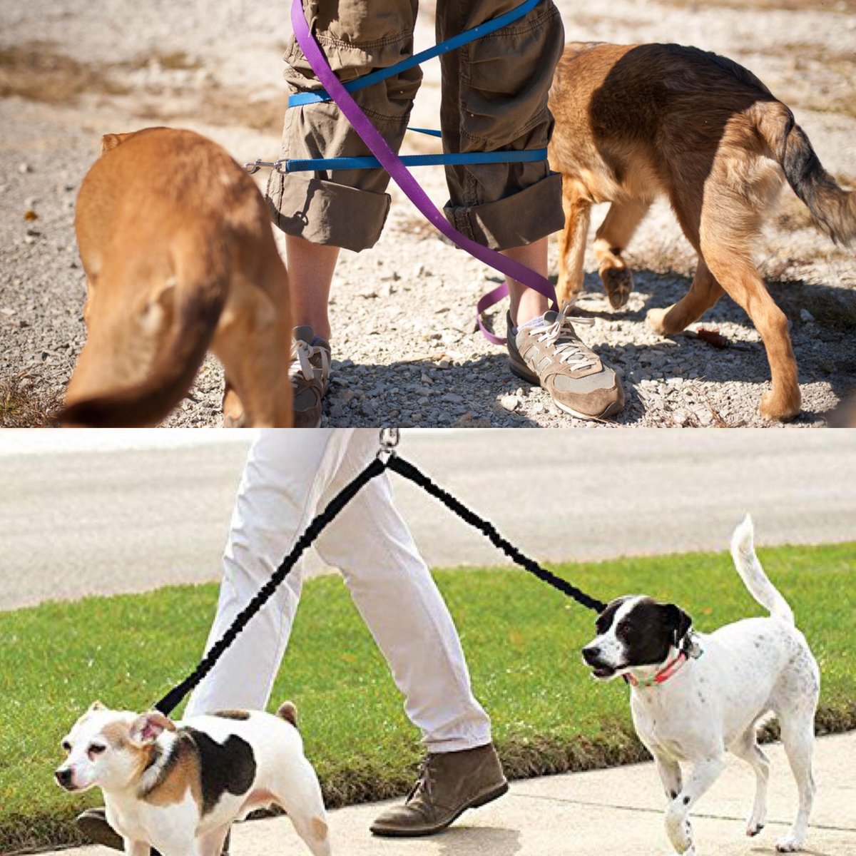 pawpys's tweet photo. Tired of stopping mid-walk to untangle your babies ? Here at https://t.co/FJ1fdoHozv we offer the best quality tangle free technology allowing you to walk the whole family with ease! 🐶 #smartwalking #dogwalking #dogleash #dogproducts #happyfamily #easywalk #antitangle https://t.co/wVsqaRQNH2