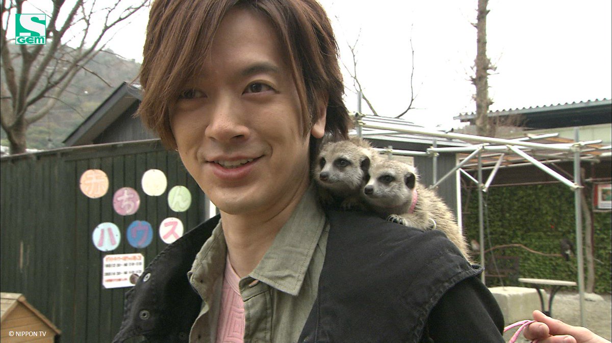 Gem Tv Asia Awww Look At Those Little Kawaii Animals On Daigo S Shoulders Can We Have Them Too 嵐 天才志村どうぶつ園 相葉雅紀 志村けん ベッキー Daigo T Co Xwkztr9qy5