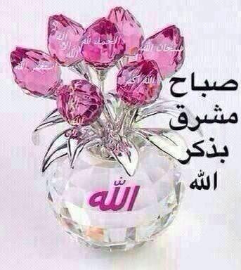 abosarah1200's tweet photo. #فرزاتشي_الحسناء
#الحسناء_للاضافات
#قروب_الحسناء_للدعم
#دارين_للدعم
#دلع_للدعم
#ضوء_الامل_للدعم
#قروب_قمر_تويتر
#دانه_سهام_للدعم
#الملكه_ميشو_للدعم
#قروب_المليار_للدعم
#أبو_سارونه https://t.co/2yLIJyAcjg