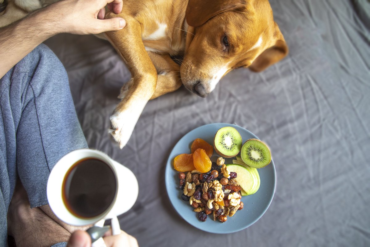 Pazar sabahları en sevdiğiniz Hacıbaba Kuruyemişleri çeşitleri ile artık daha lezzetli! #HacıbabaKuruyemiş