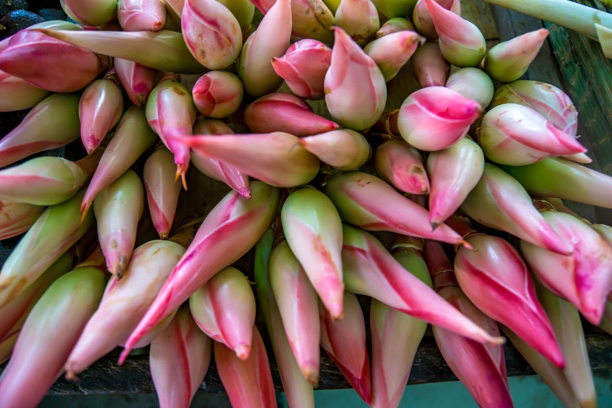 BikeandTours's tweet photo. On the way to Batang Ai we stopped at the busy local Serian #market. Fresh produce at its best! Beautiful #gingertorch for laksa tonight?
@SarawakTravel #bikeandtours #memorableadventures #borneo #sarawak #SarawakTravel #SarawakMoretoDiscover #ThisisSarawak #malaysia #herbs https://t.co/GdtI5VDWUI