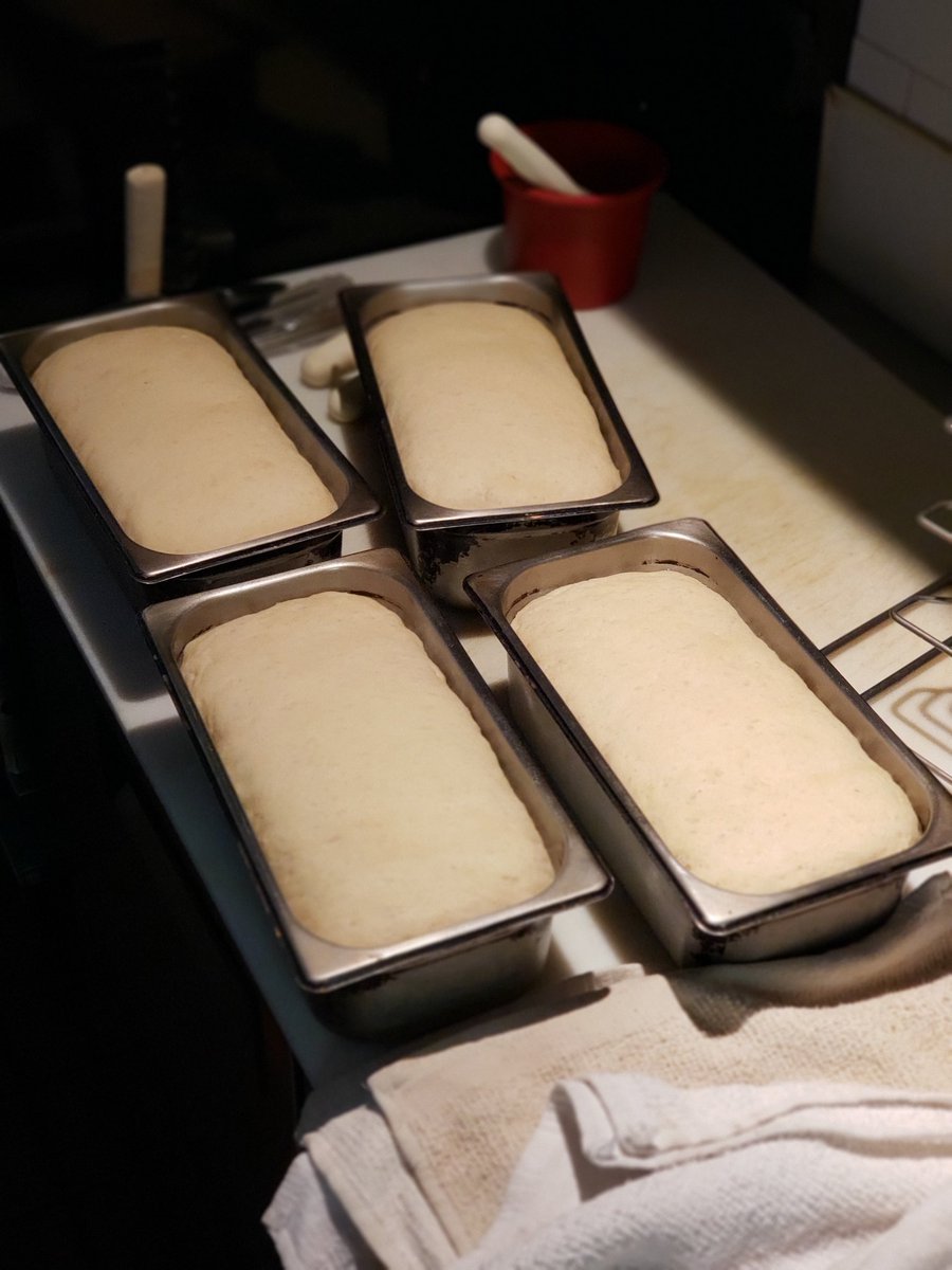 RedHousePizza's tweet photo. Prep is all about FRESH! We do this every day, check us out. Fresh basil going into pesto and for garnish, julienned carrots decorating salads &amp; our peanut sauce based pizzas, our house baked bread from THIS MORNING and the ever popular herb thin crusts.

#pizza #fresh #vegan https://t.co/ialWKflWCi
