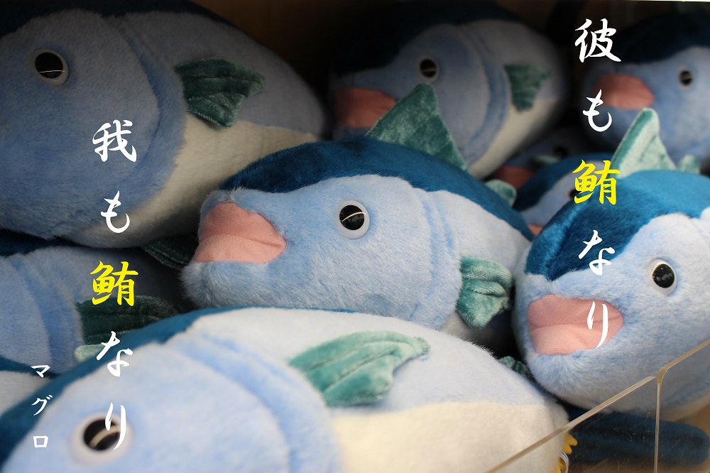 希少 ビンテージ 日本製 葛西臨海水族園 マグロ クロマグロ ぬいぐるみ当時物 葛西臨海水族園［公式］ on X