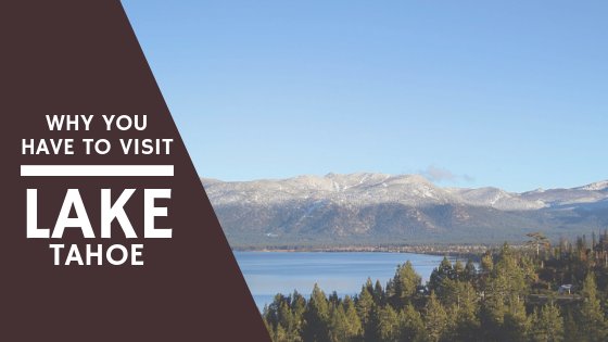 AdventureWithMo's tweet photo. Photo Essay: Why you must add Lake Tahoe to your travel list

#bestcapturedtravel #laketahoe 
https://t.co/Z8lNj6slUi https://t.co/xvVIOf4bwH