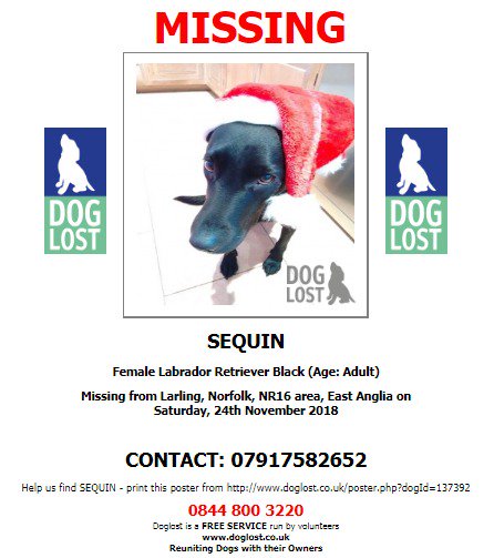 DogLostUK's tweet photo. #LOST #DOG SEQUIN
Female #LabradorRetriever Black  Adult
#Missing from #Larling #Norfolk #NR16 
Saturday 24th November 2018
#LostDog #ScanMe @VetsGetScanning @SAMPAuk_
 https://t.co/zqUi9YUiuI https://t.co/gRnH1pdteZ
