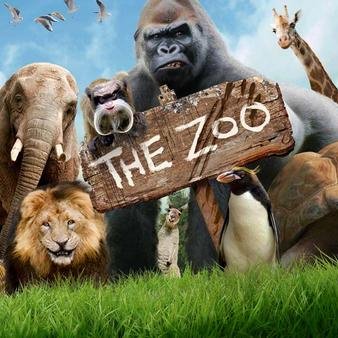 Zoo16981620's tweet image. #NewProfilePic