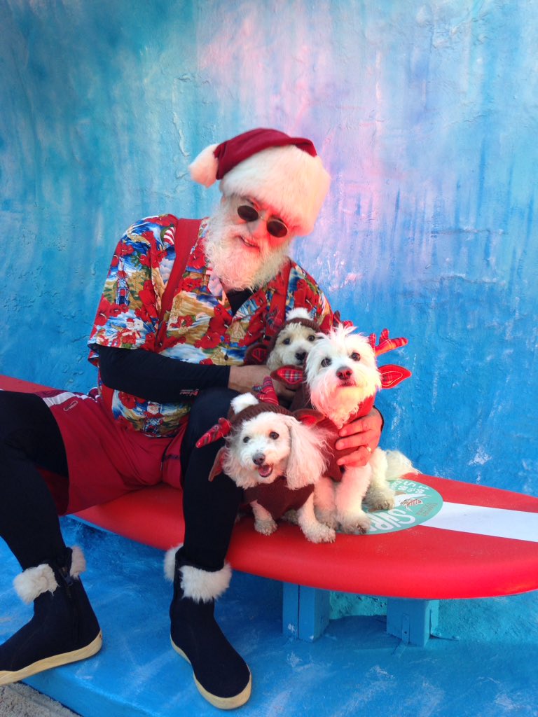 The Puppy Trio dressed as reindeer dogs with Surfin Santa today at Seaport Village #seaportvillage #visitseaport
