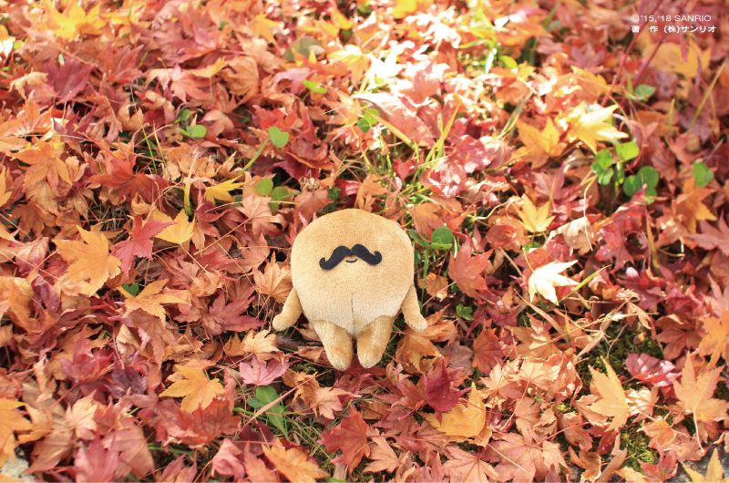 hagurumanstyle's tweet photo. まさに黄金色。 #金歯 #紅葉の秋 https://t.co/Wv9KqFVKqV