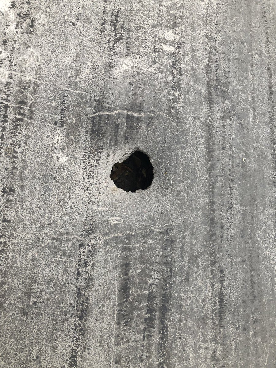 JoAn Paint tweet media