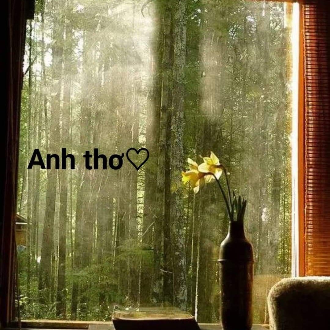 Окно в лес с подоконником