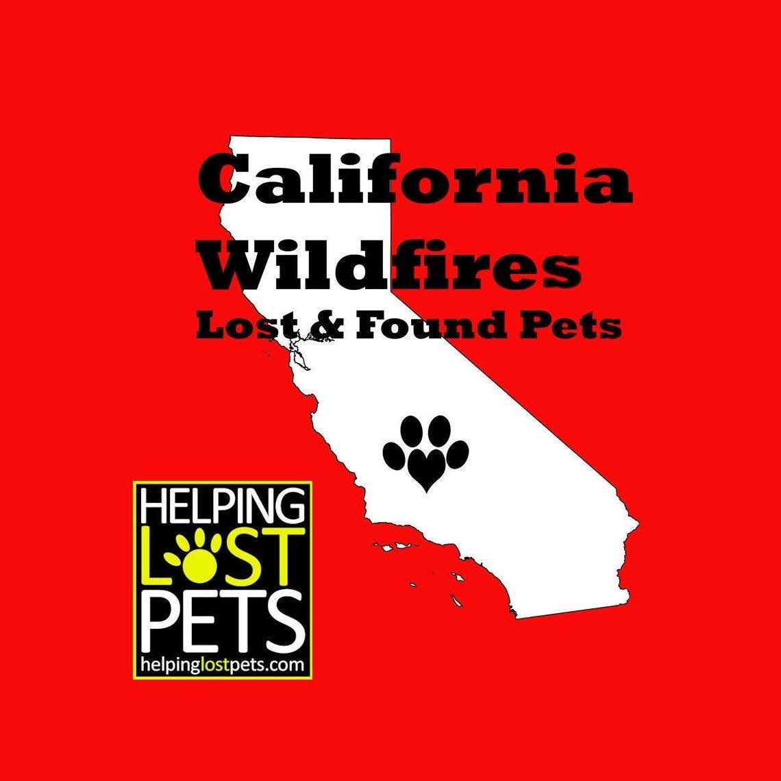 Mich20181's tweet photo. #CampFireLostPets.. #DisasterAssistTeam @CAFirePets ..If you have found (or lost) an animal, fill out a flyer at https://t.co/YS7xOgKeZy and we will post the flyer here. https://t.co/eDnF8l7VTN https://t.co/3mw6tXdqTo