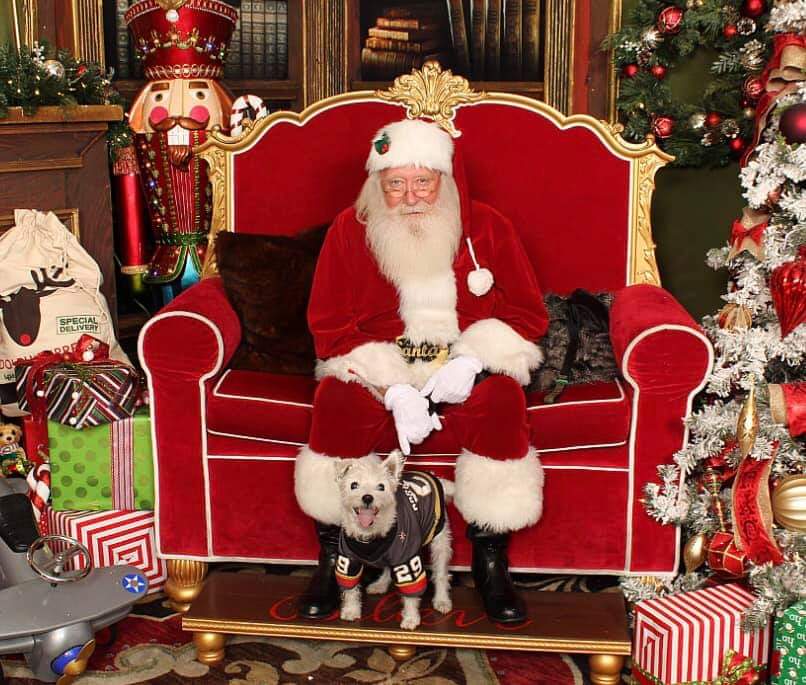 LVHelpGro's tweet photo. .@BarkAndreFurry such character, such community commitment, so soulful! Cc @doodle_winston @GoldenKnights @VGKHatGirlLogan @KnightTimeStore @jmunizart @LasVegasLocally
Can't wait for #BarkMadness in March! But #BarkMas & #HappyBarkYear must come first. #VegasBorn #VegasStronger! https://t.co/lUHu4pSDS0