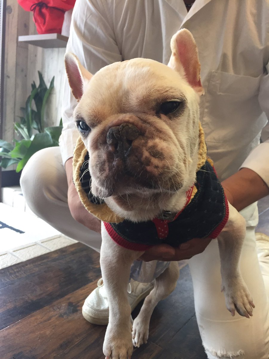 ザーボン久子 Auf Twitter 真備の永ちゃん仲間の美容院へyazawaビール持ってお邪魔に行きました あの夏から蘇った美容院 当日の真備の状況やお店の状況も教えていただき 復活本当におめでとうございます 行けて本当に良かったです 次は髪を切りにまた行きます