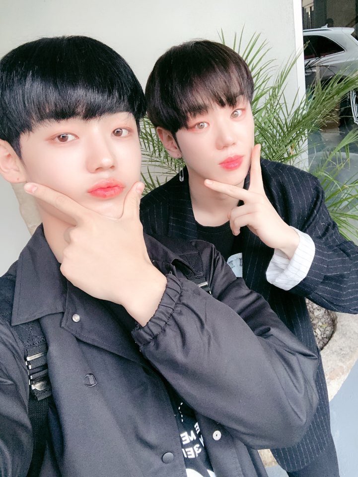 813LAND's tweet photo. @official_ACE7 💖💖💖💖💖💖🐰🐻💖💖💖💖💖 https://t.co/APyukwe3Av