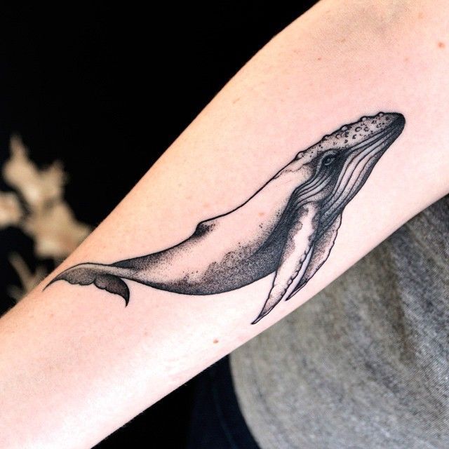 thunderpeep's tweet photo. Just Pinned to tattoo ideas: Image result for humpback whale tattoos https://t.co/r8JSXnxNGU https://t.co/O340DS3XaJ