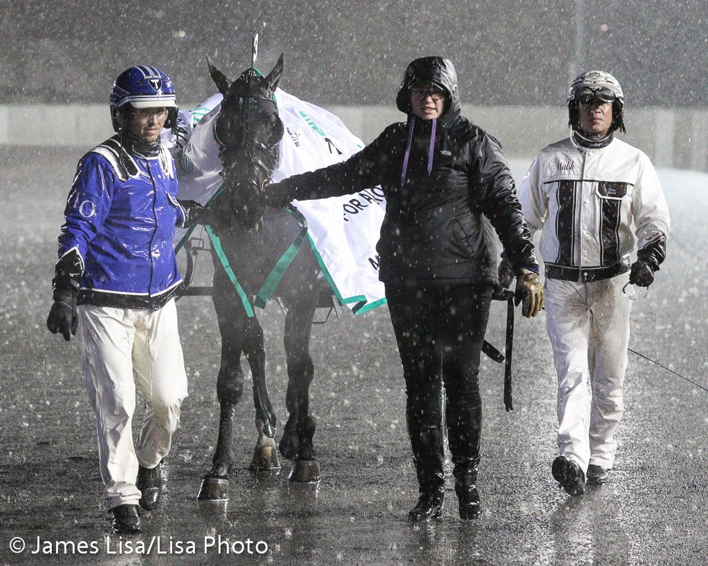 LisaPhotoM1's tweet photo. Tactical Landing is walked to the Winner Circle after winning the @TVG Open Final @TheMeadowlands @JimmyTakter @eedoogie @JessicaOtten1 @DaveLit27015842 #harnessracing #PlayBigM https://t.co/8vOYp46wfj