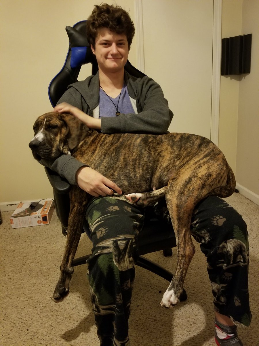 staronvenus's tweet image. Leave it to Jake to turn Rey into a lap dog