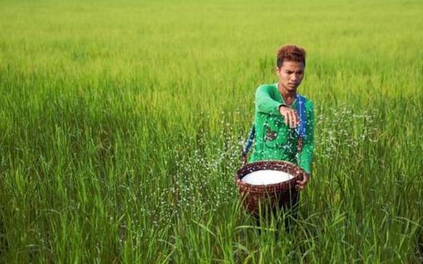 businessline's tweet photo. #ChartFocus: #ChambalFertilisers (₹151) - Buy https://t.co/pZK4pOe9ce #ChambalFertlisers #Stock # https://t.co/Vev3gdWPtc