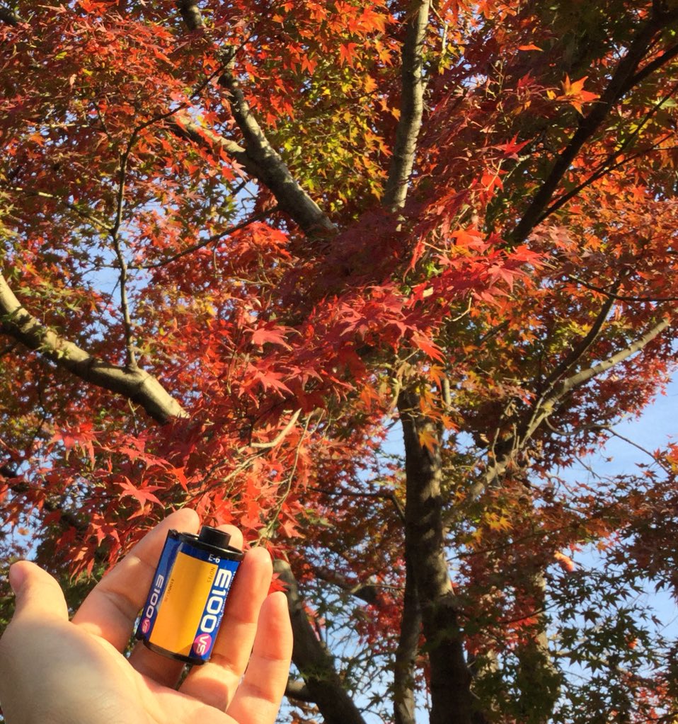 kaz_photolog's tweet image. よし、使ってみるぞ！
現行品ではないけどね！

#kodak
#E100vs