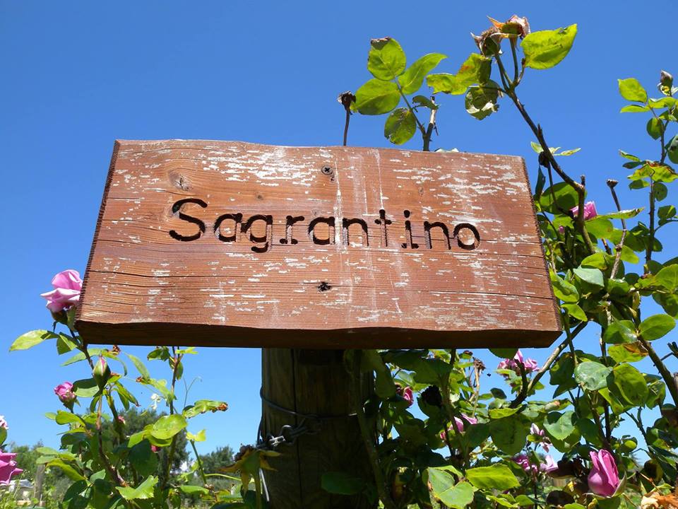 UmbriaTourism's tweet photo. Scopriamo insieme le eccellenze enologiche del #CuoreVerde d'Italia: perché in #Umbria un buon bicchiere di vino è il frutto di una lunga filiera di passione e territorio.

 ➡ https://t.co/VYO7GmAKKj https://t.co/Ck9D90EDW1