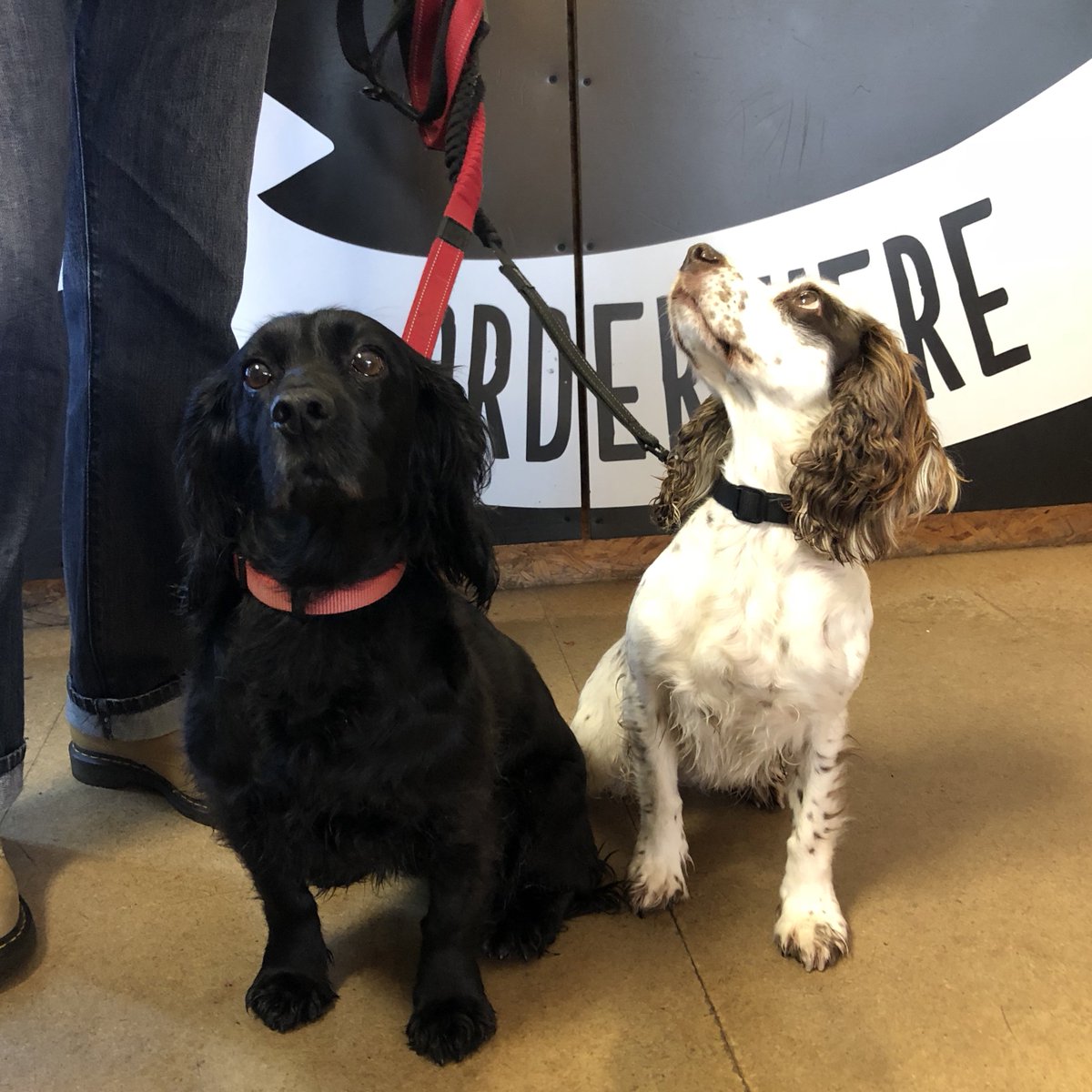 Two of our regulars, Lizzie and Nel here for their cheese on toast