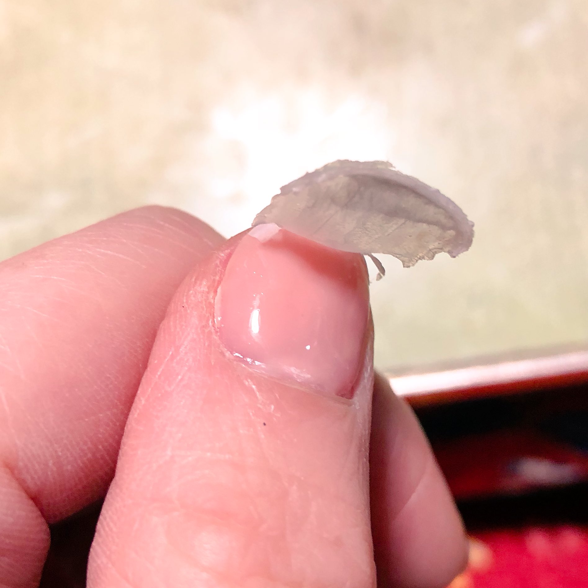 タダノヒトデ 一見 手入れを怠ってる汚い爪だが 剥がせるマニキュアの下にサロンでツヤツヤにしてもらったジェルネイルが隠れてるわけよ これぞニンジャネイル わいの会社 クソみたいな古い考えでマニュキア禁止で ジェルネイルも 爪が補強できなくて