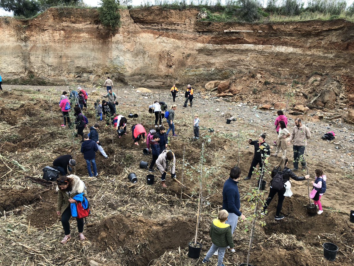 davide_vg's tweet photo. Planting 🌲 with my family. Thanks to @laCanonja @PacoRoketer1 #SDG13 #ClimateActionP 💯 🌳 this morning. #NoOneLeftBehind @zelfstudie @NewsNeus @enricltuset @enricltuset https://t.co/S3p01F1OFw
