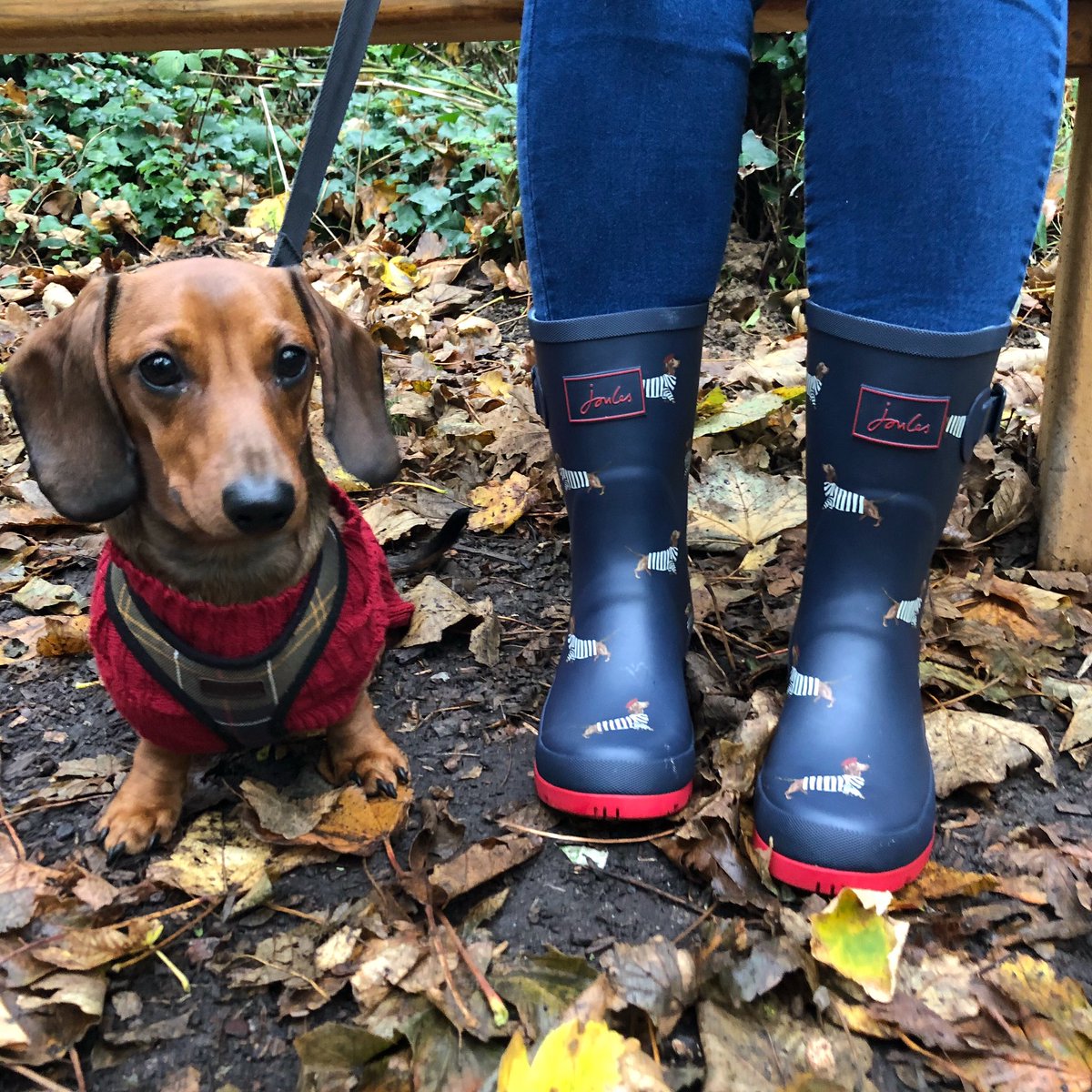 When you match your <a href="/Joulesclothing/">Joules</a> wellies to your dog! 😂🐶🍂