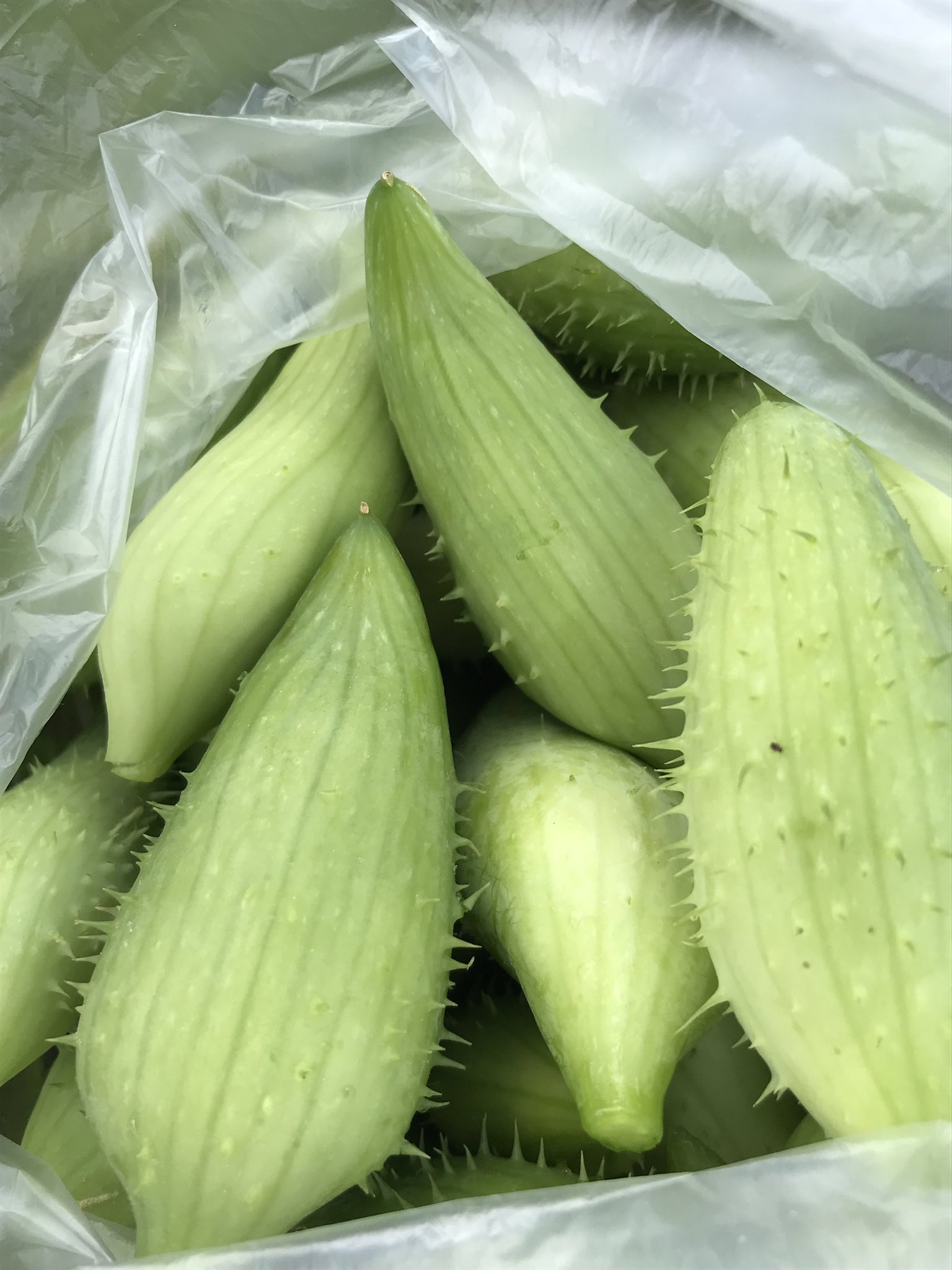 るびな ばいざべい この野菜 皆さん知ってますか 本日るびな畑で収穫 Rubinaa Rubinaabythebay Curry Veg るびな るびなばいざべい おもしろい野菜 インド料理 カレー