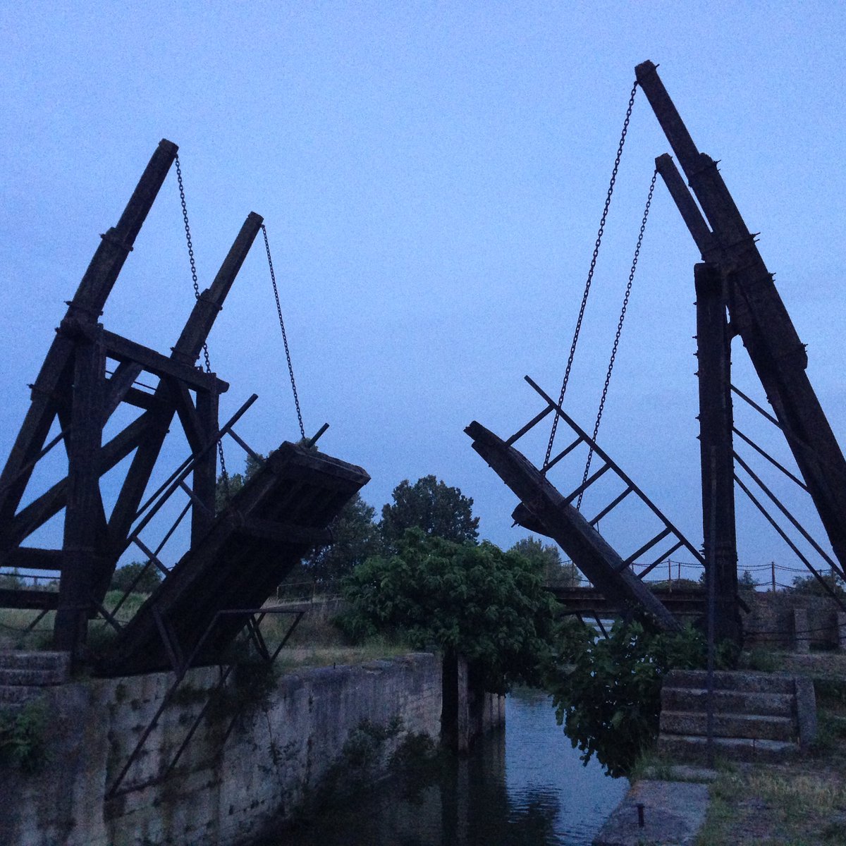 Mascha Simons tweet media