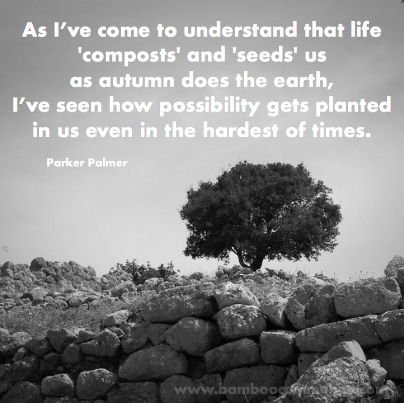 bamboo_tweet's tweet photo. Have you ever felt life 'composting' and 'seeding' you? What are the places and times where possibilities have sprouted in your life?

#bamboocommunity #thoughtfortheweek #palkerpalmer #possibilities #lifecycles #contemplation #meditation https://t.co/8we92hQFda