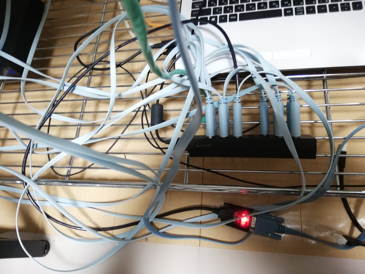 wnoguchi's tweet photo. Home Physical Lab at November 25, 2018. https://t.co/Ql9snsI7Rc