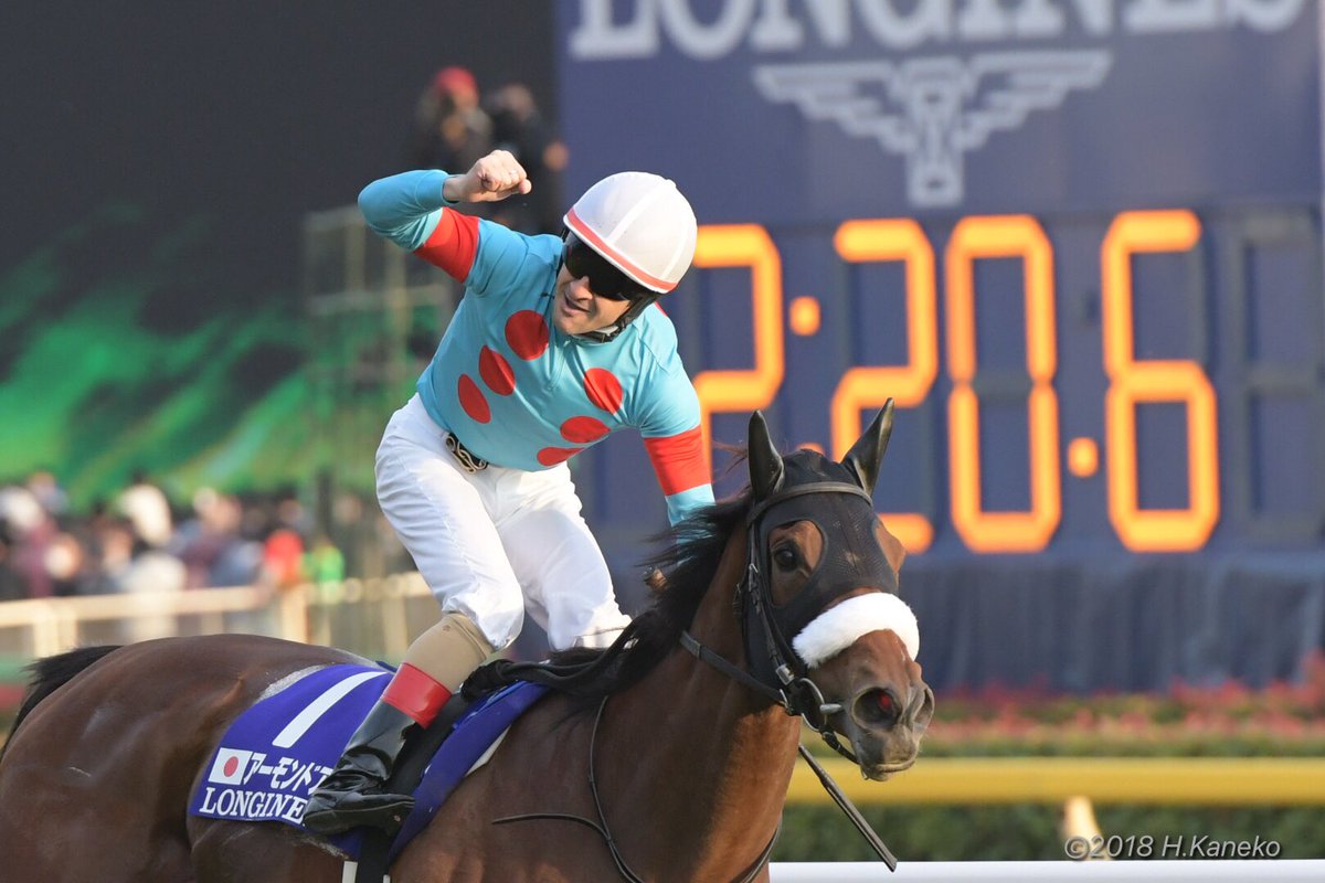 アーモンドアイ 衝撃のレコード。 #アーモンドアイ #ジャパンカップ2018