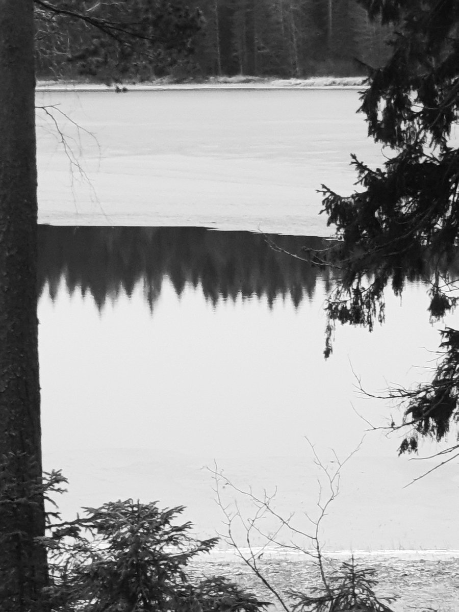 hanna_maatta's tweet photo. Day 1/7 of the #blackandwhitechallenge #sevendayssevenpictures #SevenDaysBW #mylifeinblackandwhite #SevenDaysPhotoChallenge 
Nominated by @TimoMaatta
7 Days
7 Pictures
No People
No text

Today I nominate @RitvaSavolaine1 https://t.co/hXq51EVQb0 https://t.co/yIGvfbuW4N https://t.co/nNRP6BPVun