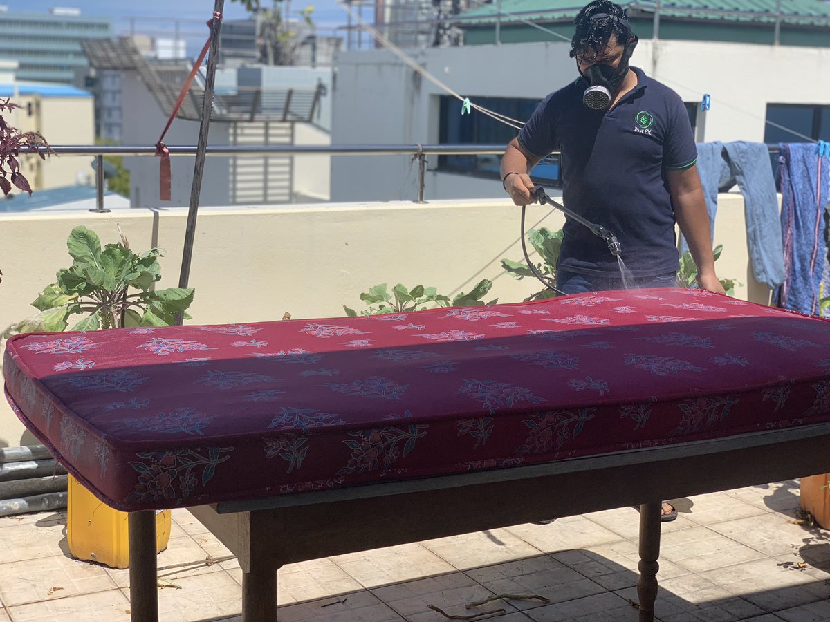 Pestex Maldives On Twitter Getting Rid Of Some Bed Bugs