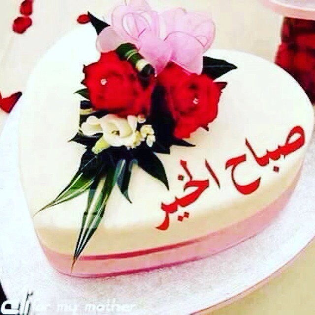 ابو سامي tweet media