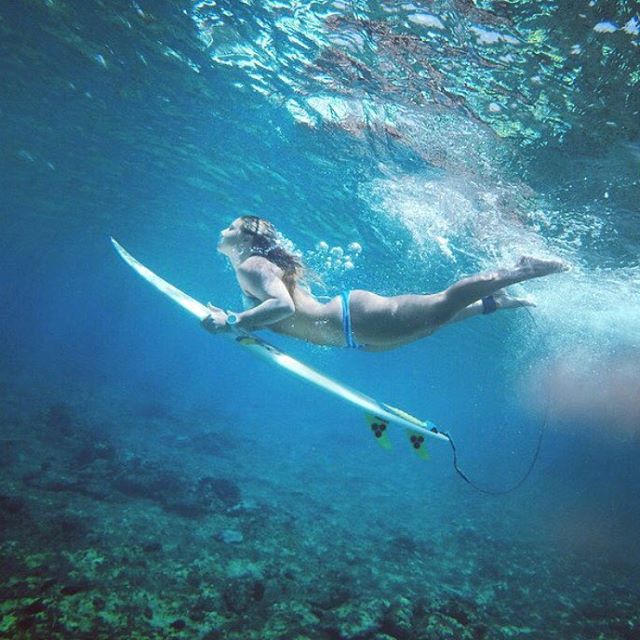 Surfing Quotes&Babes tweet media