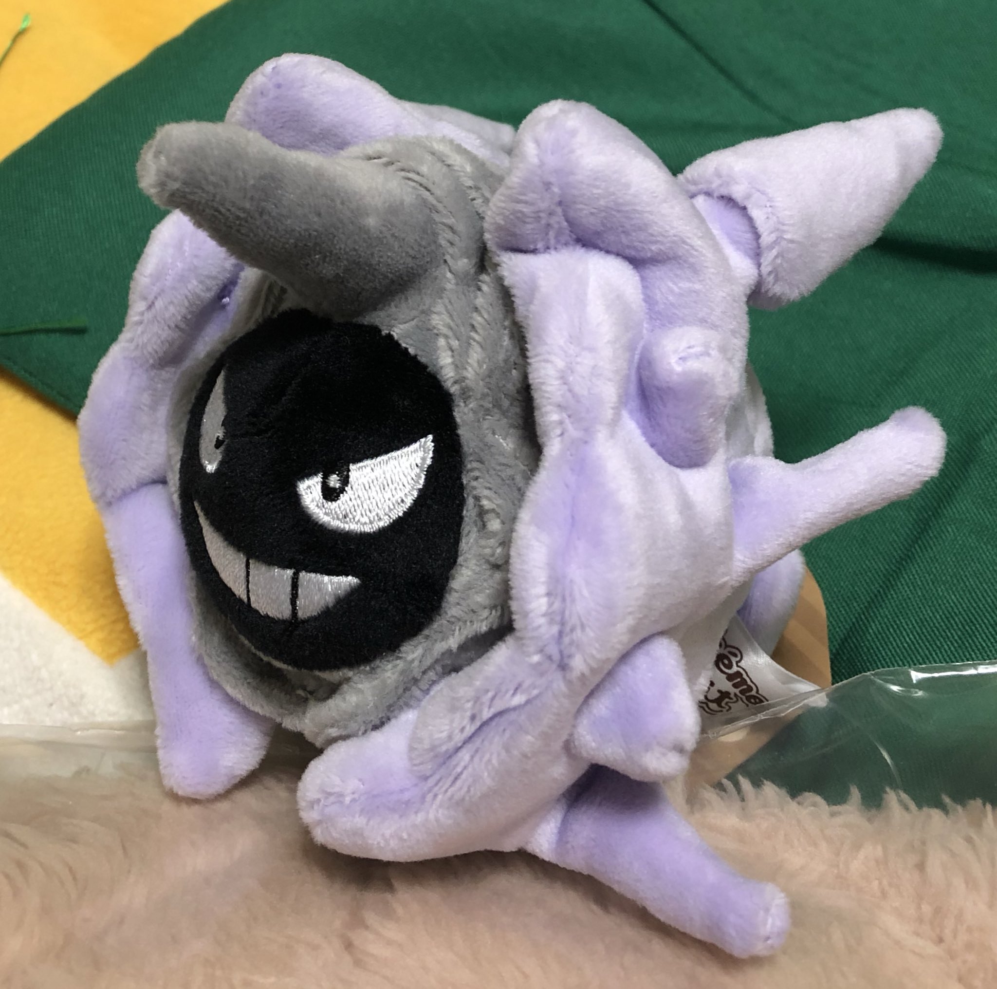 風一八 そして パルシェンのぬいぐるみー もこもこでかわいいかっこいい 名前 はフウガたん これから我が家の一員です よろしくお願いします パルシェンはモクローの次に好きなポケモンなのでぬいぐるみ化ほんとに嬉しい極み T Co C5axjkceo5